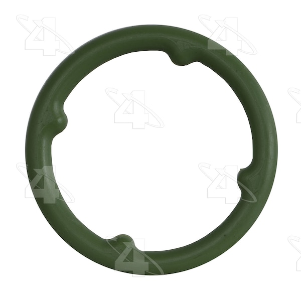 O-Ring,21104